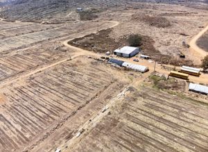 Rancho en Venta en  carretera Santiago Tangamandapio, Michoacan