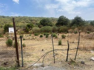 Terreno en Venta, La Venta del Astillero, Carr. Nogales, Guadalajara