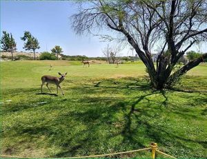 CLUB DE GOLF LAS AVES