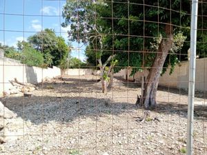 SE VENDE TERRENO EN IZAMAL YUCATÁN