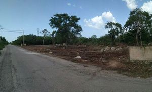 Terreno en venta Mérida Yucatán, Temozón Norte