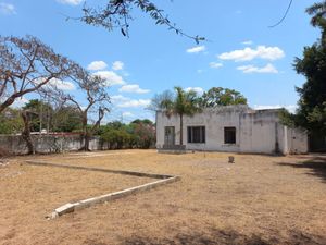 Terreno en venta Mérida Yucatán, Colonia García Gineres