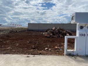 Terreno en venta Mérida Yucatán, Gran San Pedro Cholul