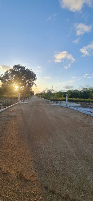 Terreno en venta  Mérida Yucatán, Real Ceiba Maya Chixclulub