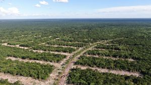 Terreno en venta Mérida Yucatán, Sorenna Chicxulub