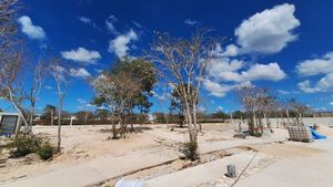 Terreno en venta Mérida Yucatán, Privada Terena Temozón Norte