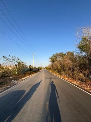 Terreno en venta Mérida Yucatán,  Paraíso Progreso, Mérida Yucatán.