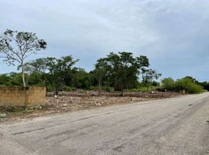 Terreno en venta Mérida Yucatán, Temozón Norte