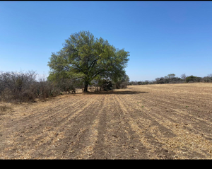 VENDO TERRENO EN NOPALA DE VIGRAN, HIDALGO