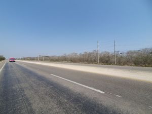 TERRENO SOBRE CARRETERA Motul - Mérida. Con frente de 220 m., a 4 km de Motul
