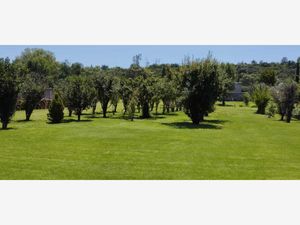 Terreno en Venta en Santiago Tlautla Tepeji del Río de Ocampo