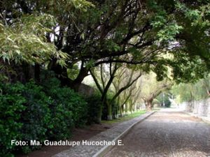 Finca/Rancho en Venta en Santiago Tlautla Tepeji del Río de Ocampo