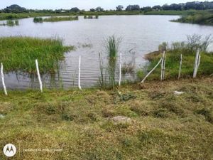 Terreno en Venta en Los Presidentes Altamira