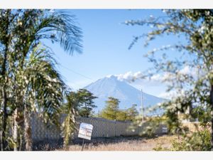 Terreno en Venta en La Joya (Agropecuaria Tenextepec) Atlixco