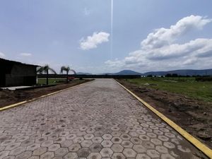 Terreno en Venta en La Joya (Agropecuaria Tenextepec) Atlixco