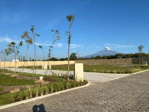 Terreno en Venta en La Joya (Agropecuaria Tenextepec) Atlixco