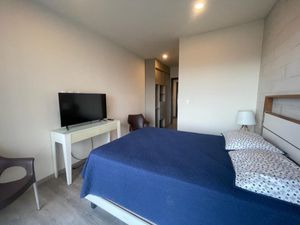 Departamento en Renta en Santiago Querétaro