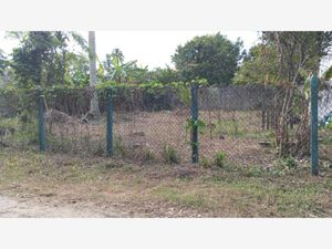 Terreno en Venta en Quintin Arauz Paraíso