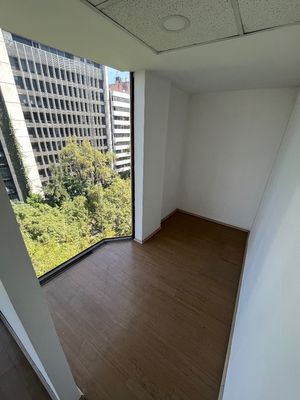 OFICINA PISO COMPLETO 330 M2.