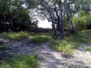 TERRENO EN VENTA ISLA MUJERES, QUINTANA ROO ¡PRECIO UNICO!