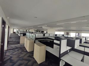 OFICINA DE 1000 M2 EN CORREDOR INSURGENTES !!