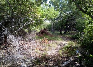 TERRENO EN VENTA ISLA MUJERES, QUINTANA ROO ¡PRECIO UNICO!