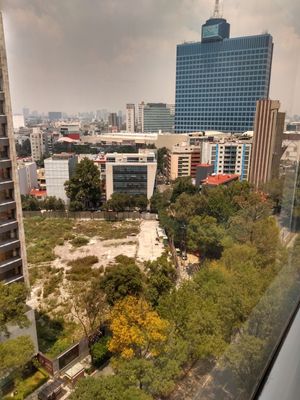 OFICINA DE 1000 M2 EN CORREDOR INSURGENTES !!