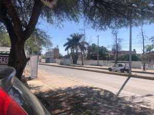 Terreno en Renta en Arandas Irapuato