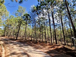 Terreno en venta en Sierra Mazati, Chiquilistlan