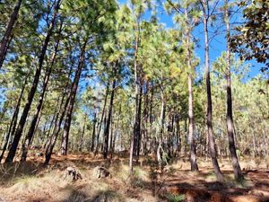 Terreno en venta en Sierra Mazati, Chiquilistlan