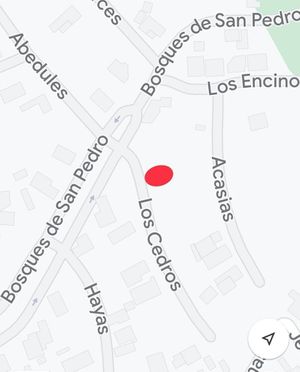 Localización del terreno en el fraccionamiento, calle Cedros