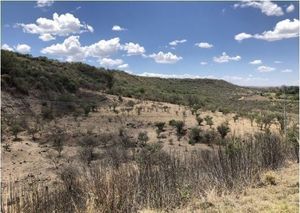 Terreno en Venta en Valle de Guadalupe, Jalisco.