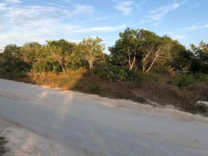 EXCELENTE OPORTUNIDAD DE VENTA DE TERRENO EN HOLBOX