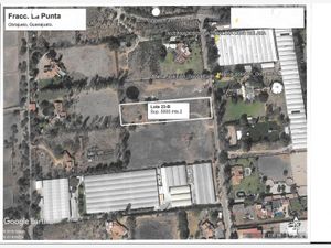 Terreno en Venta en La Punta Apaseo El Grande