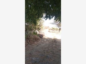 Terreno en Venta en San Esteban Cuecuecuautitla Tepetlixpa