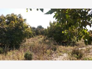 Terreno en Venta en San Esteban Cuecuecuautitla Tepetlixpa