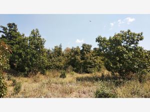 Terreno en Venta en San Esteban Cuecuecuautitla Tepetlixpa