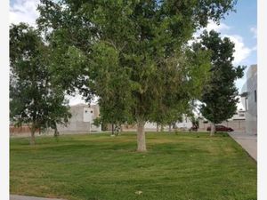 Terreno en Venta en Villas del Renacimiento Torreón