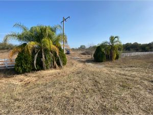 Terreno en Venta en El Pastor Montemorelos