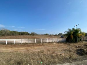 Terreno en Venta en El Pastor Montemorelos