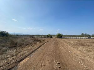 Terreno en Venta en El Pastor Montemorelos