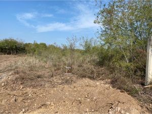 Terreno en Venta en El Pastor Montemorelos