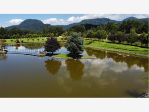 Finca/Rancho en Venta en Los Saúcos Valle de Bravo