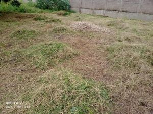 Terreno en Venta en Plutarco Elías Calles (Cura Hueso) Centro