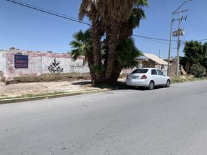 Terreno en Renta en Torreon Centro Torreón