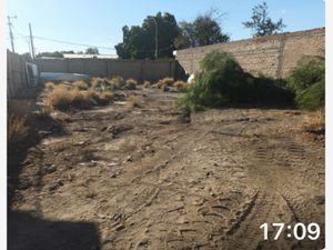 Terreno en Renta en Torreon Centro Torreón