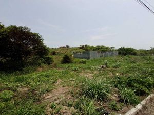 Terreno en Venta en Anton Lizardo Alvarado