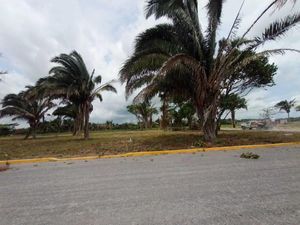 Terreno en Venta en Paso del Toro Medellín de Bravo