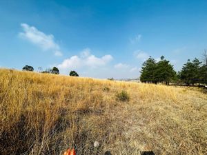 Terreno en Venta en Cañada de Cisneros Tepotzotlán