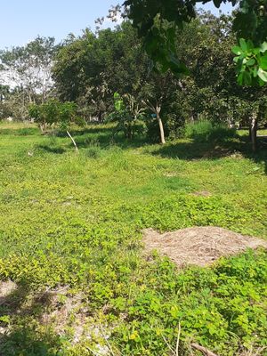 Terreno ejidal en venta